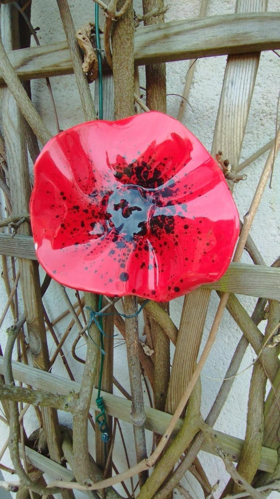 Studio Les Coquelicots Saint-Romain-sur-Cher Buitenkant foto